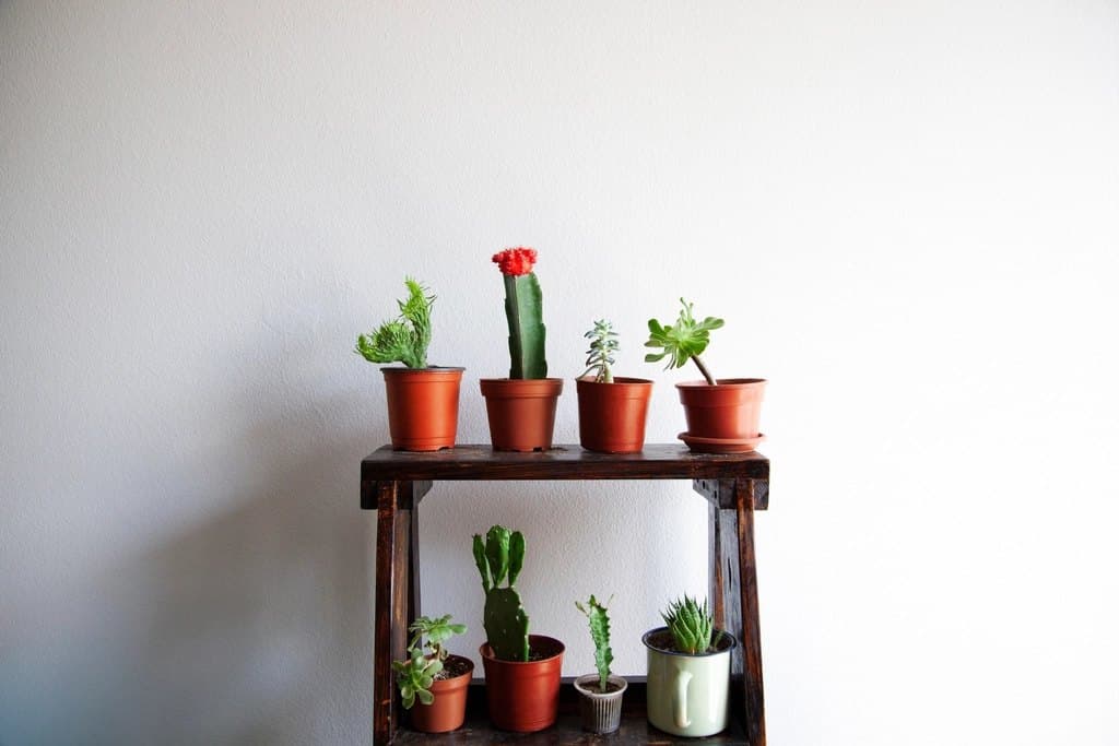 Floating Display Shelf