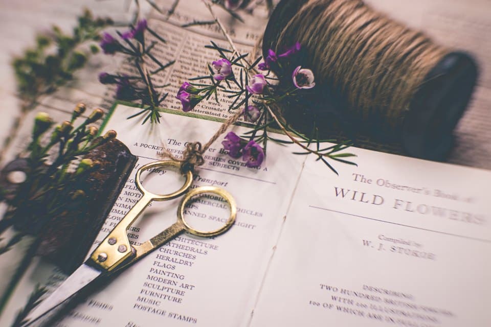 Precision Desk Scissors